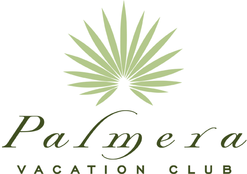 Palmera Vacation Club Logo - Palmera Logo (494x349), Png Download