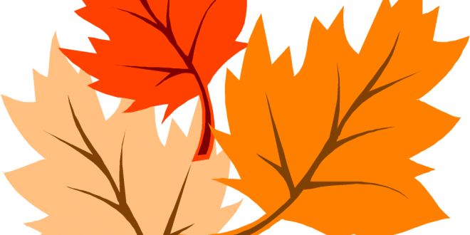 Autumn Leaves Clipart Thanksgiving - Fall Clip Art (660x330), Png Download