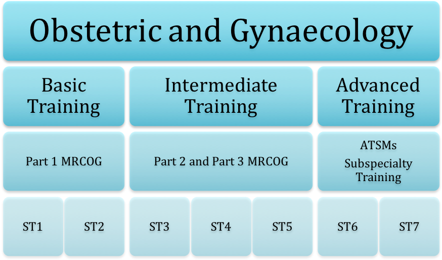 Obs And Gynae St1 Training Pathway - Training (874x520), Png Download