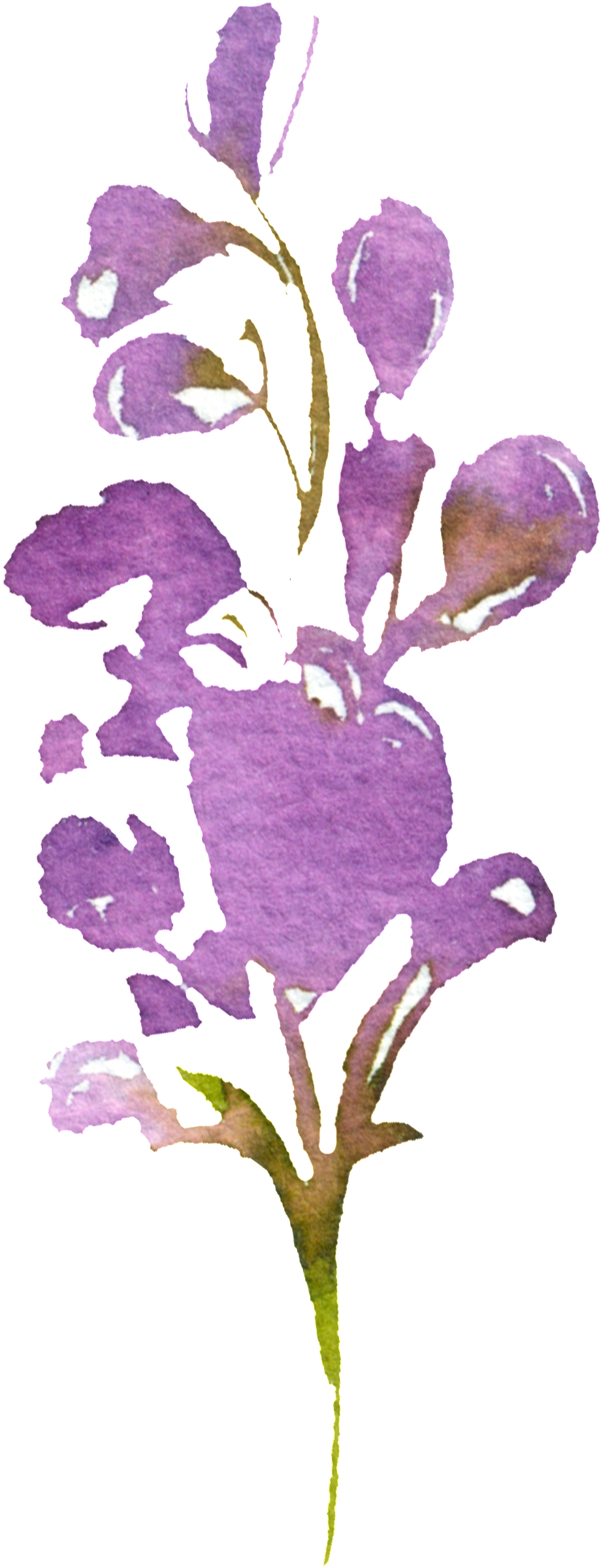 Hand Painted Purple Watercolor Flower Png Transparent - Watercolor Painting (1024x2486), Png Download
