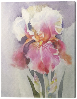 Watercolor Flower Collection - Watercolor Painting (400x400), Png Download