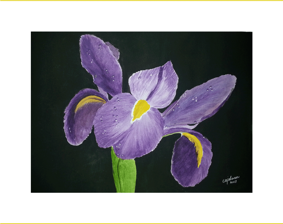 Iris With Dew Drops, Original Watercolor Painting - Iris (1200x1200), Png Download