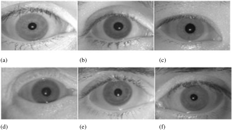 Samples From Bath Iris Database [5] Smart Sensor Limited - Sensor (850x466), Png Download