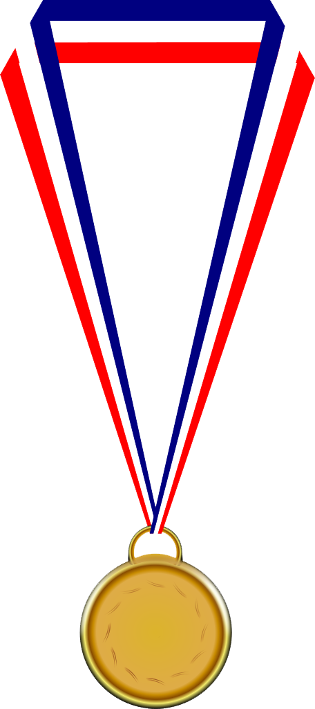 Medal Transparent - Medal Png Transparent (456x1024), Png Download