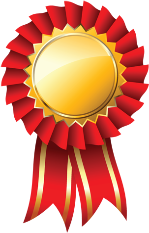 Red Medal Png (314x484), Png Download
