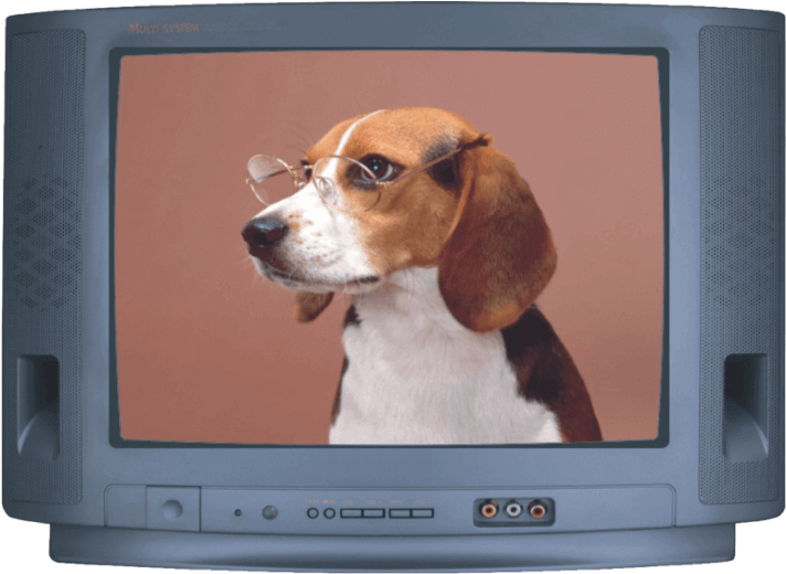 Crt Tv 14 Dk 2609r - Poster: Ltd's Beagle, 61x46cm. (773x549), Png Download