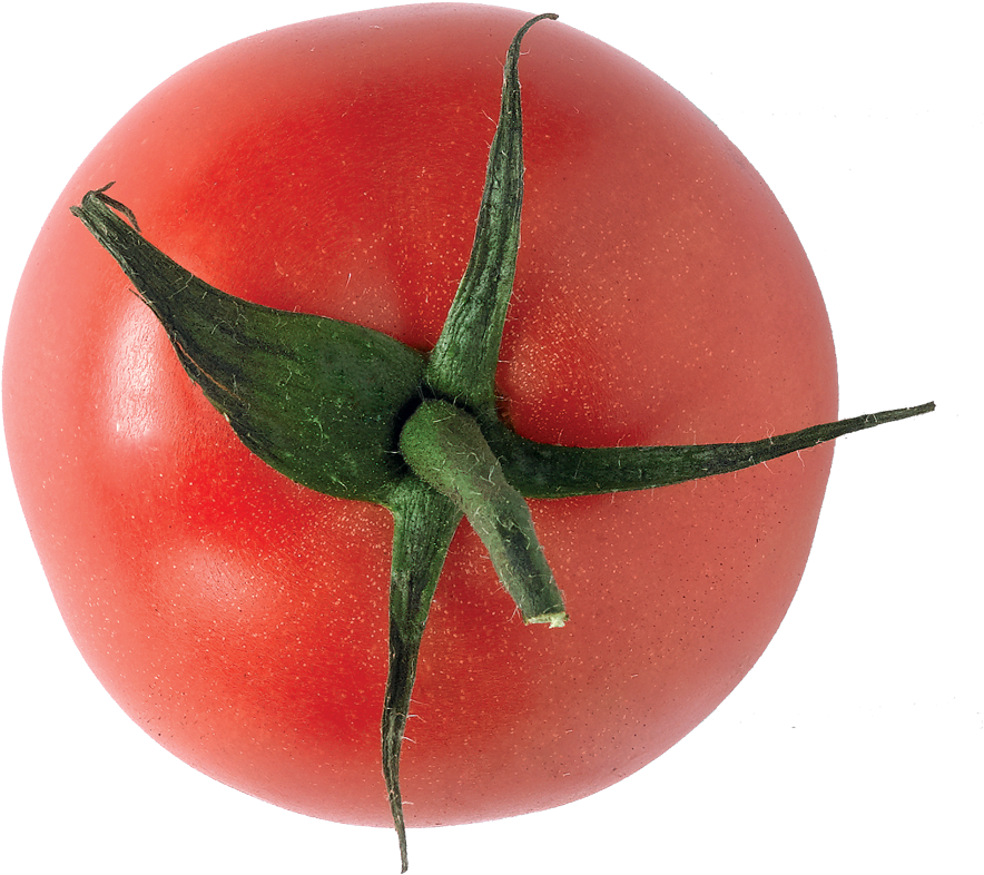 Tomate - Plum Tomato (1000x891), Png Download