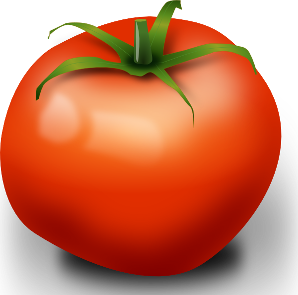 Small - Tomato Clip Art (600x594), Png Download