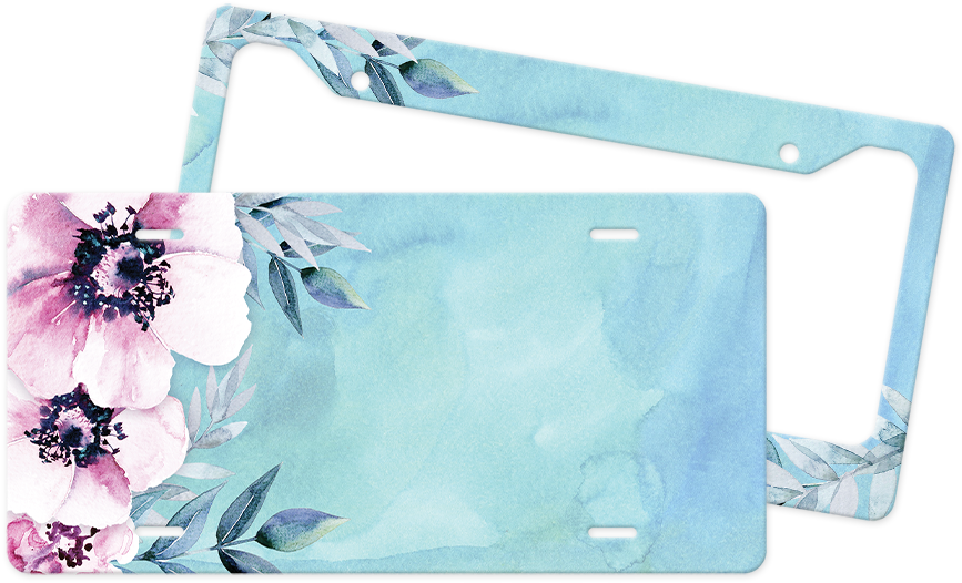 Orchid (1000x600), Png Download