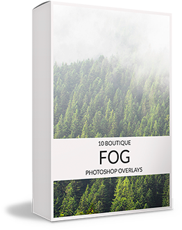 Picture Frame (320x436), Png Download