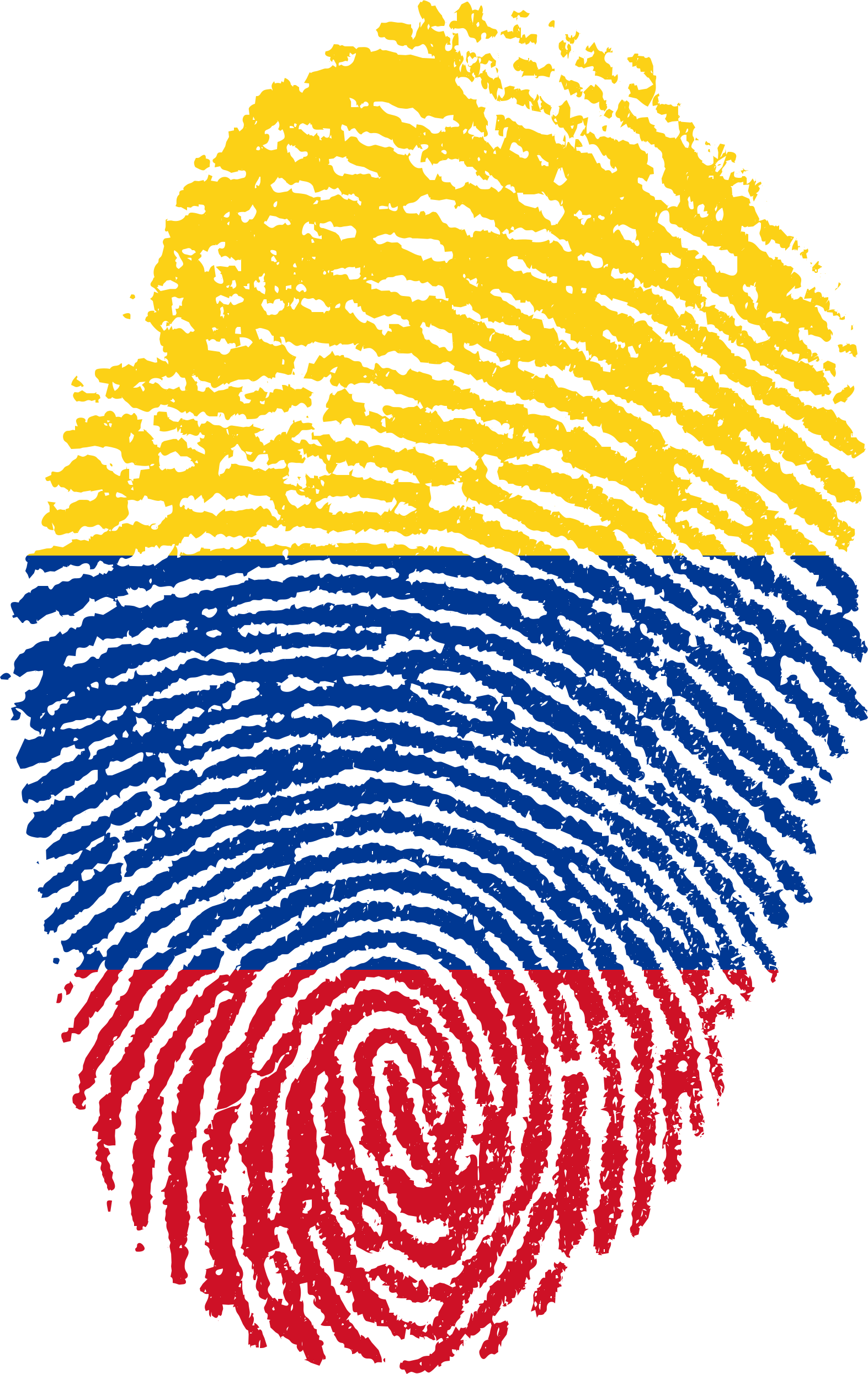 Expat Medellin Living Part - Bandera De Colombia Sin Fondo (1573x2488), Png Download