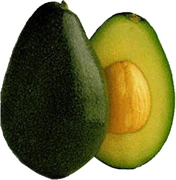 Aguacate Hass - Aceite De Aguacate (343x351), Png Download