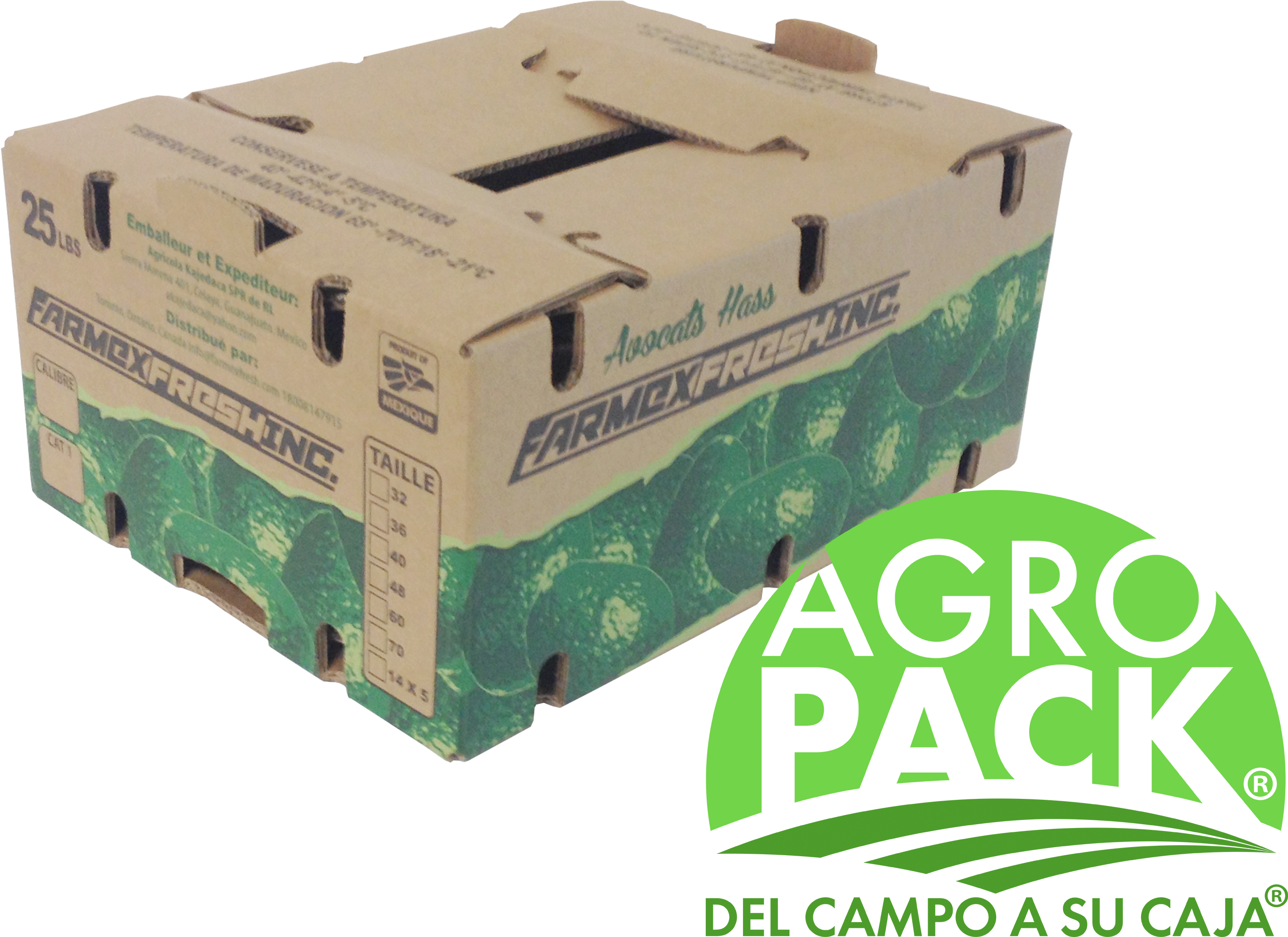 Alt Alt - Cajas De Papas De Carton (3264x2448), Png Download
