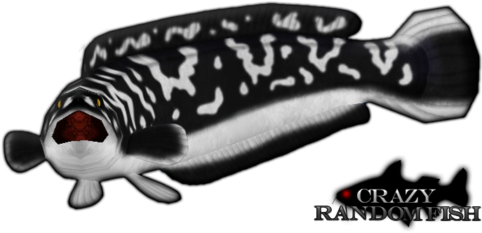 Giant Snakehead By Budhiindra-d58jtya - Giant Snakehead Fish Art (700x400), Png Download