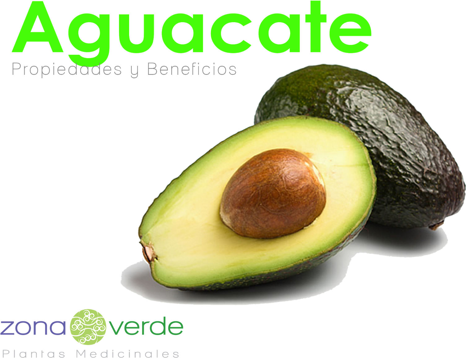 El Aguacate - Health Food And Unhealthy Food (1600x1220), Png Download