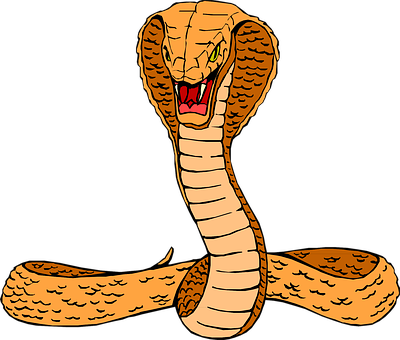 Head Snake Orange Cobra Raised Hissing Cur - Cobra Clip Art (400x340), Png Download