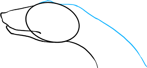 How To Draw Snake Head - Sketch (680x678), Png Download