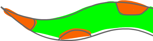 Waste Snake Head (550x400), Png Download