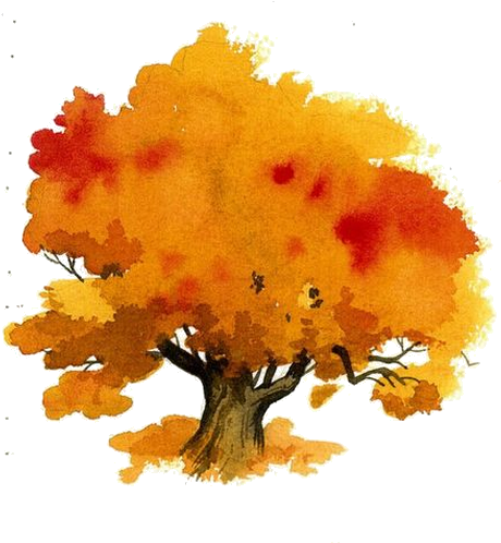 Watercolor Paintings Of Fall Trees (483x504), Png Download