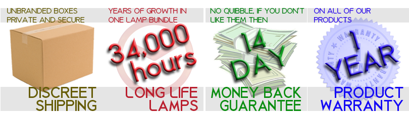 Boxeys - Cash (818x240), Png Download