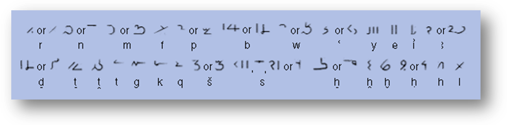 Demotic Alphabet The Glyphs Representing Single Consonants - Demotic Alphabet (1034x255), Png Download