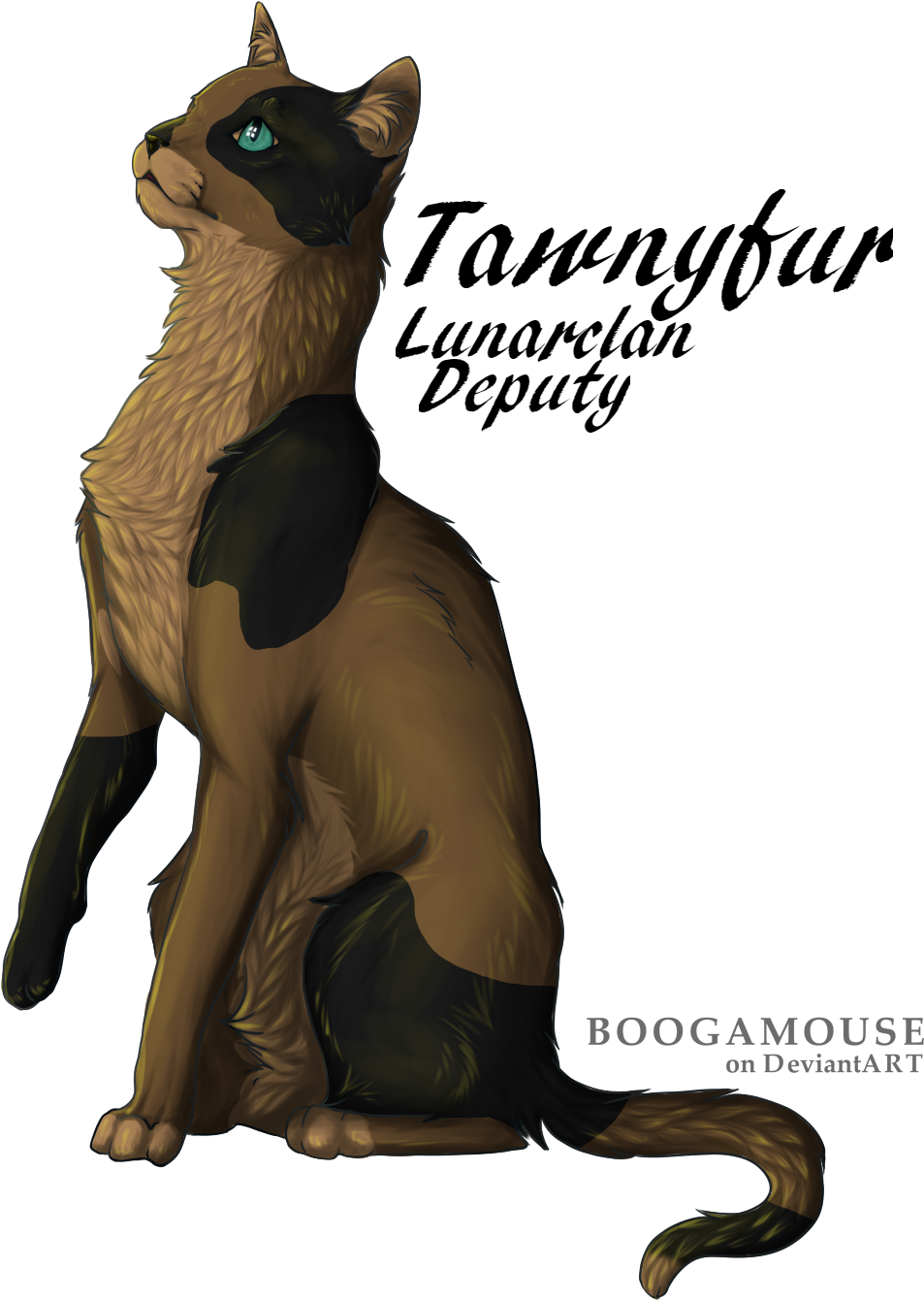 Tawnyfur Kitkat - Shading (1300x1500), Png Download