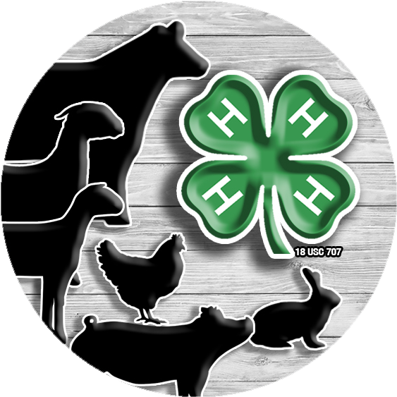 Beef Exp 4h Animal Decal - Transparent 4 H Logo (612x612), Png Download