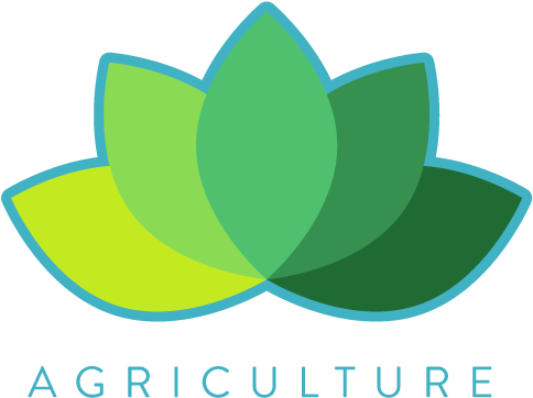 Like Us On Facebook - Graphic Design (500x437), Png Download