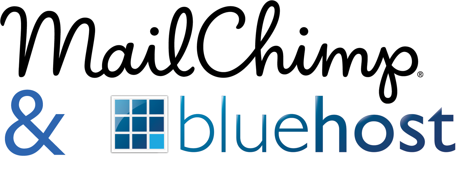 What Is Mailchimp Domain Authentication And Why Do - Mailchimp Logo (1600x650), Png Download