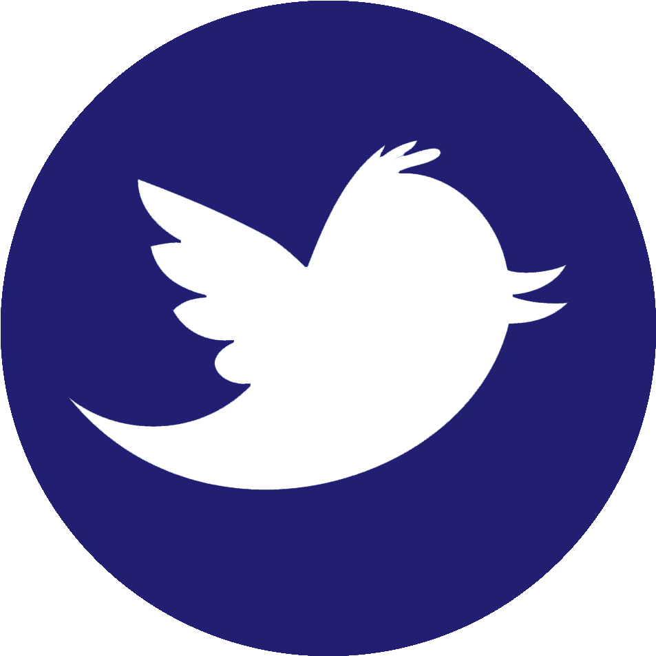 Social Fb Social Tw - Logo Rond Réseaux Sociaux (1000x1000), Png Download