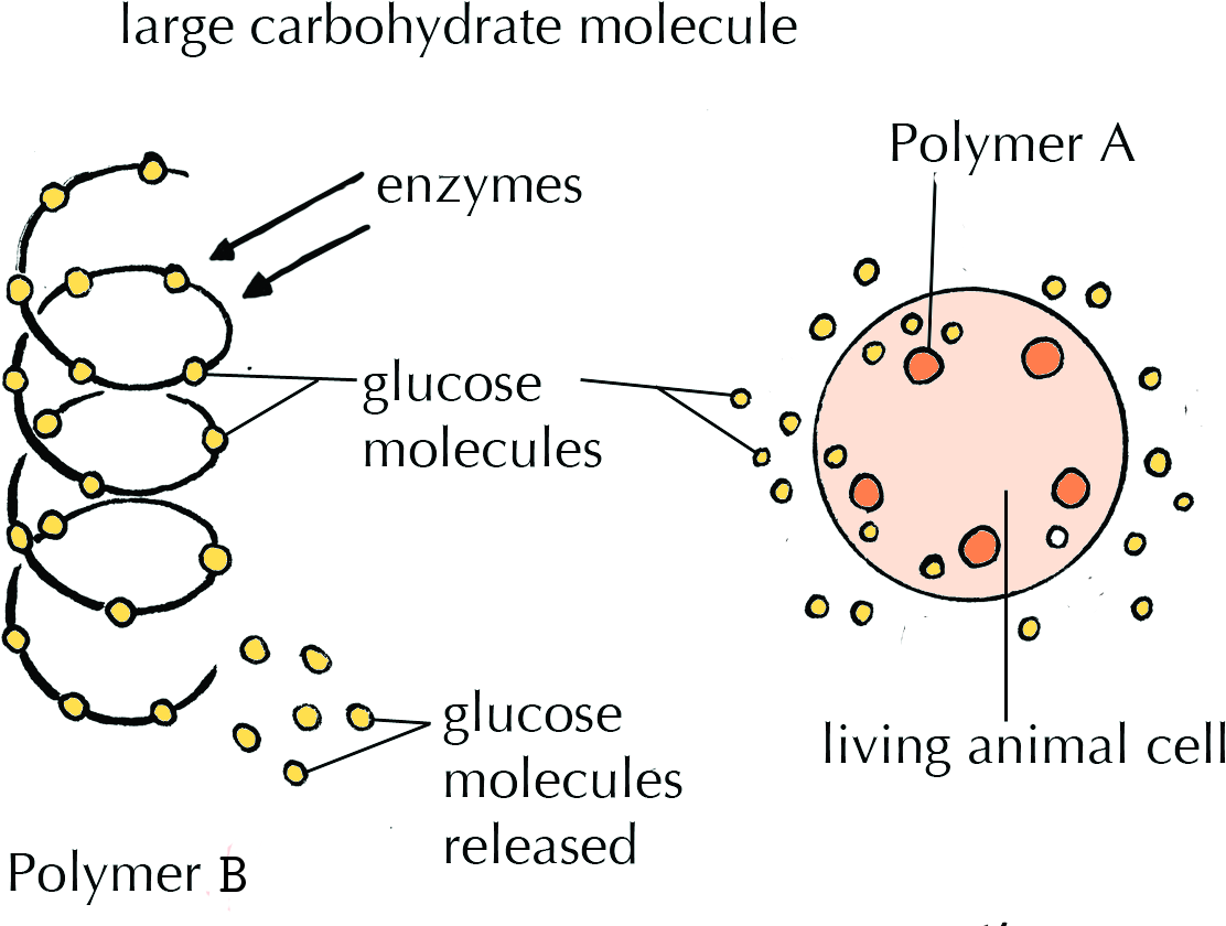 Svg Free End Of Chapter Exercises The Chemistry Siyavula - Diagram (1186x854), Png Download