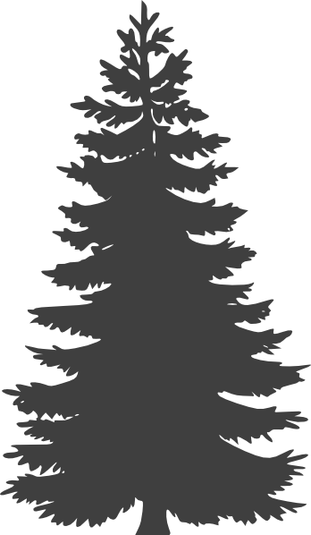 Giant Pine Tree Clipart - Pine Tree Vector Png (348x598), Png Download