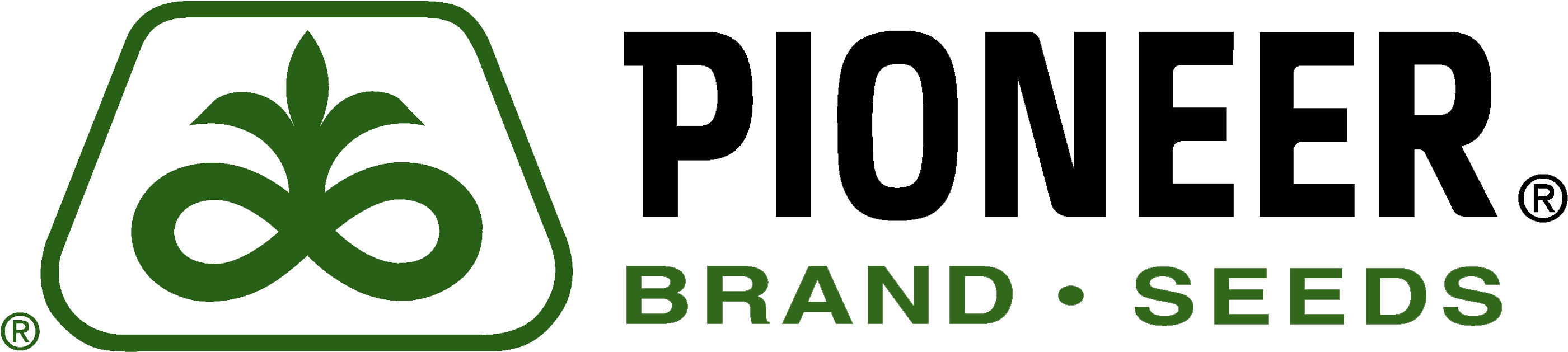 Pioneer Seed Logo - Pioneer Brand Products Logo (2900x700), Png Download