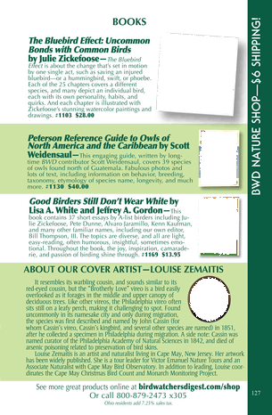 Brochure (305x466), Png Download