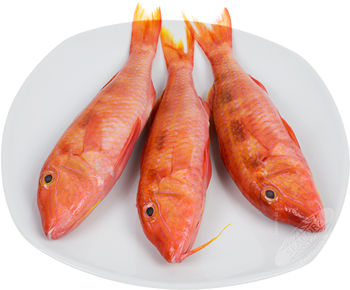 Red Mullet Mullus Upeneichthys - Goatfishes (575x456), Png Download
