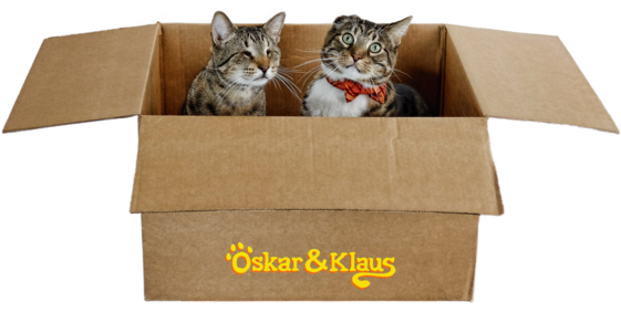 Tabby Cat (600x429), Png Download