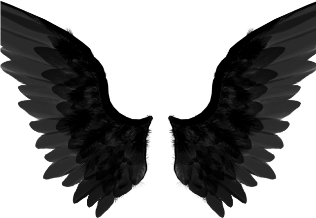 Dark Angel Png Transparent Images - Supernatural Wings Clip Art (640x480), Png Download