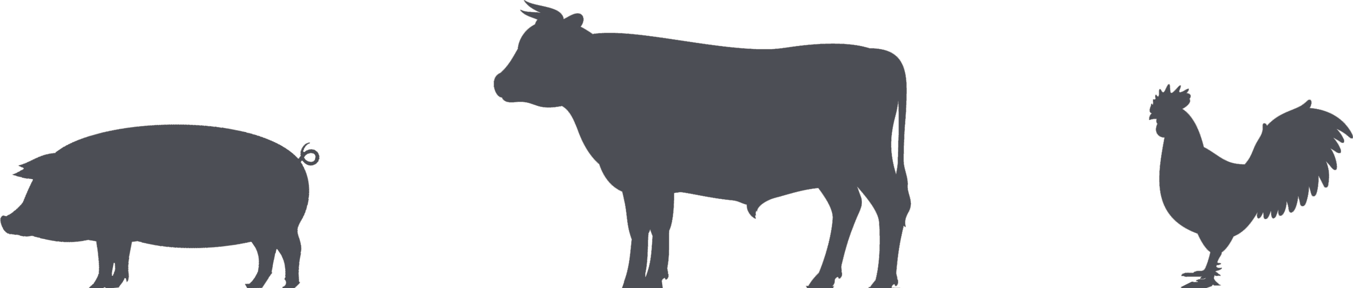 Cow And Pig Bbq (2634x561), Png Download