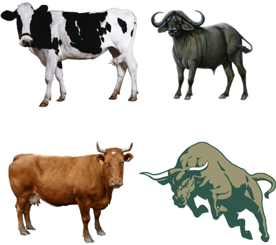 Farm Animals Play & Learn Foam Puzzle Book (400x400), Png Download