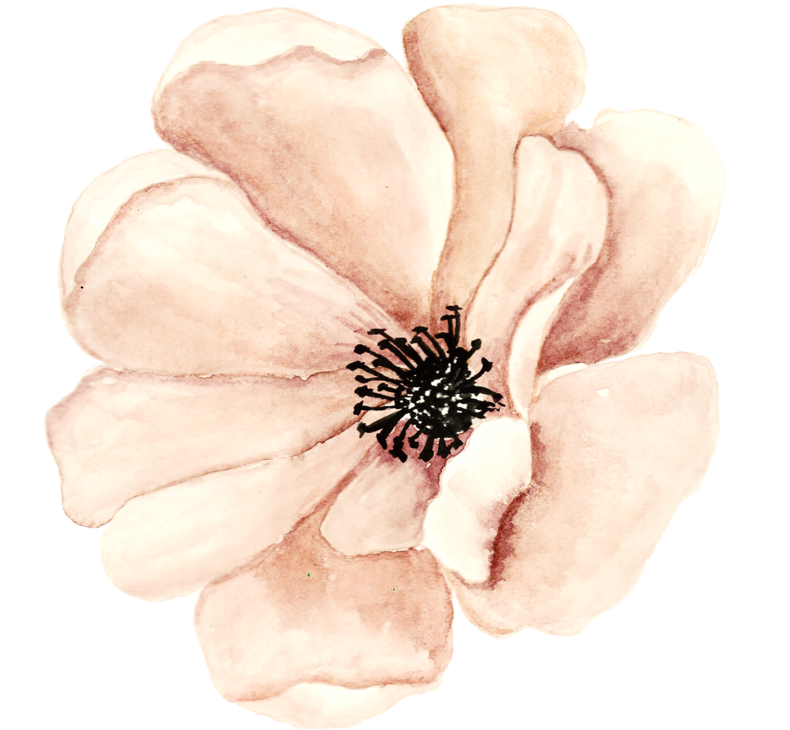 Яндекс - Фотки - Champagne (800x757), Png Download