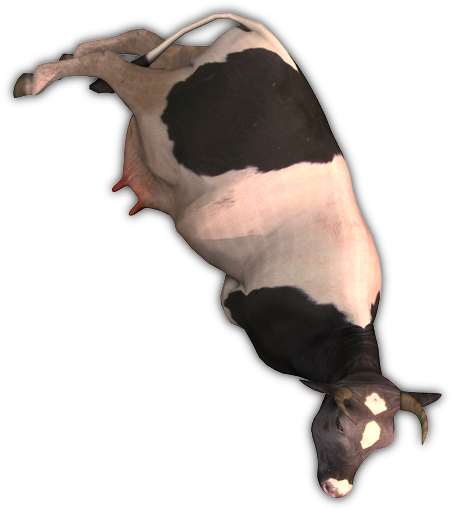 164k Cow2 Fl - Dairy Cow (464x538), Png Download