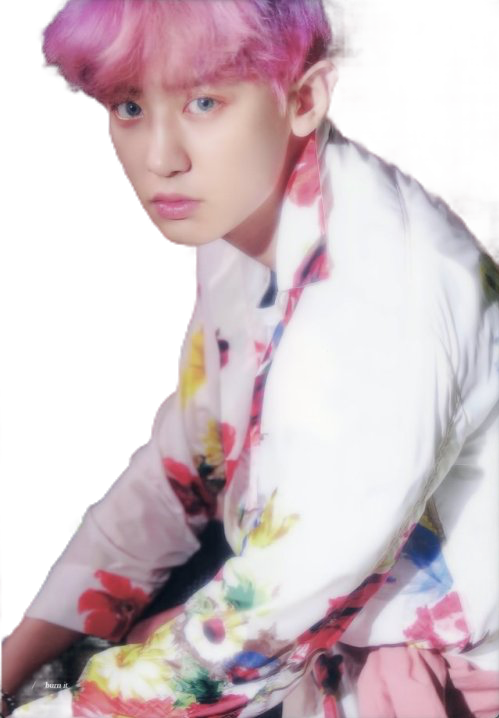 Chanyeol Transparent Pink - Chanyeol The War Photoshoot (499x718), Png Download