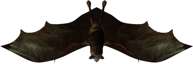 215k Batswarm Chs C 05 Feb 2009 - Big Brown Bat (800x266), Png Download