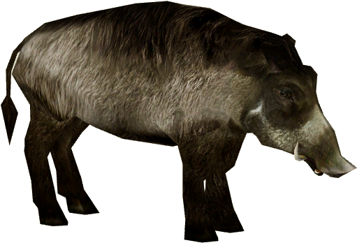 Visayan Warty Pig 3 - Visayan Warty Pig Png (560x504), Png Download