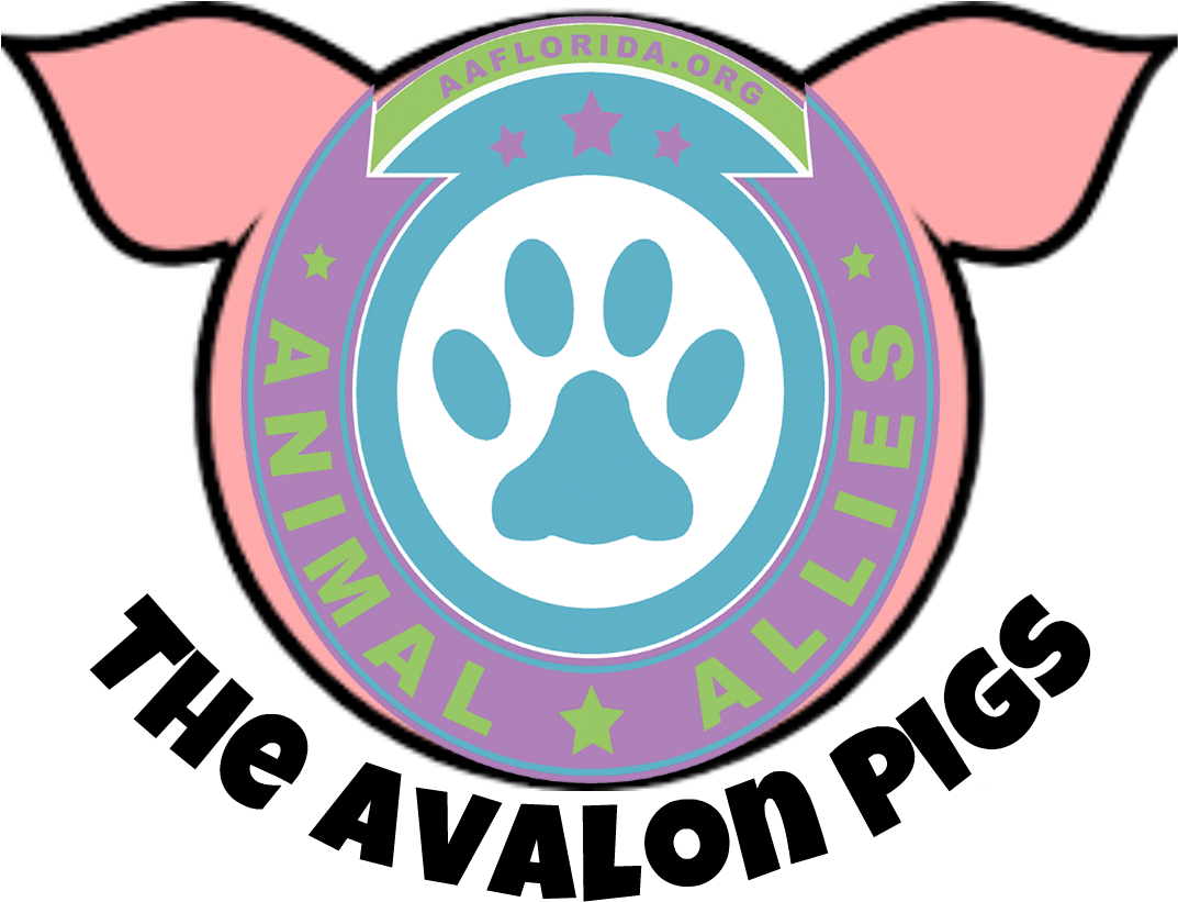 Animal Allies Rescues Pigs - Avalon (1334x1334), Png Download