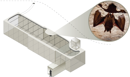 Http - //www - Batcon - Org/index - Php/media And Info/bats - Artificial Bat Cave (490x250), Png Download