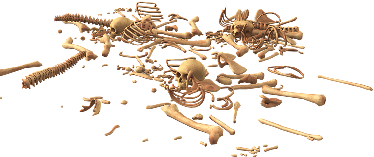 Skull, Bone, Skeleton, Bones - Ossement Png (768x340), Png Download