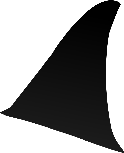 Shark Fin Png - Shark Fin Clipart Png (486x600), Png Download