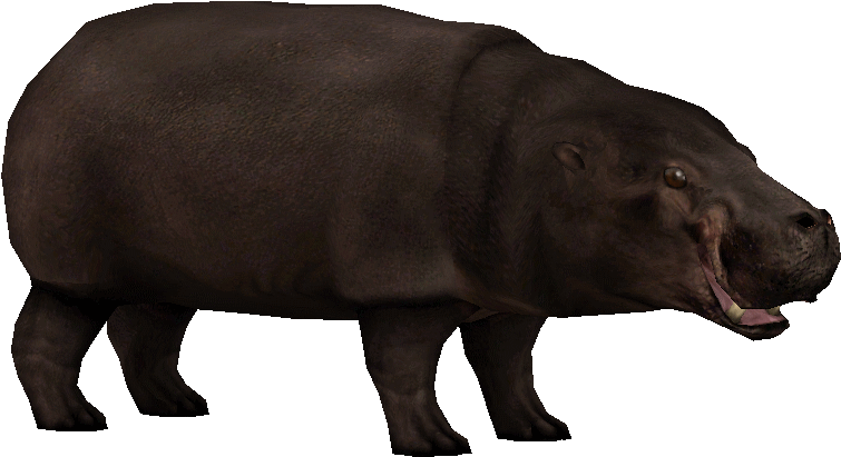 Pygmy Hippopotamus Zoo Tycoon 2 (795x795), Png Download
