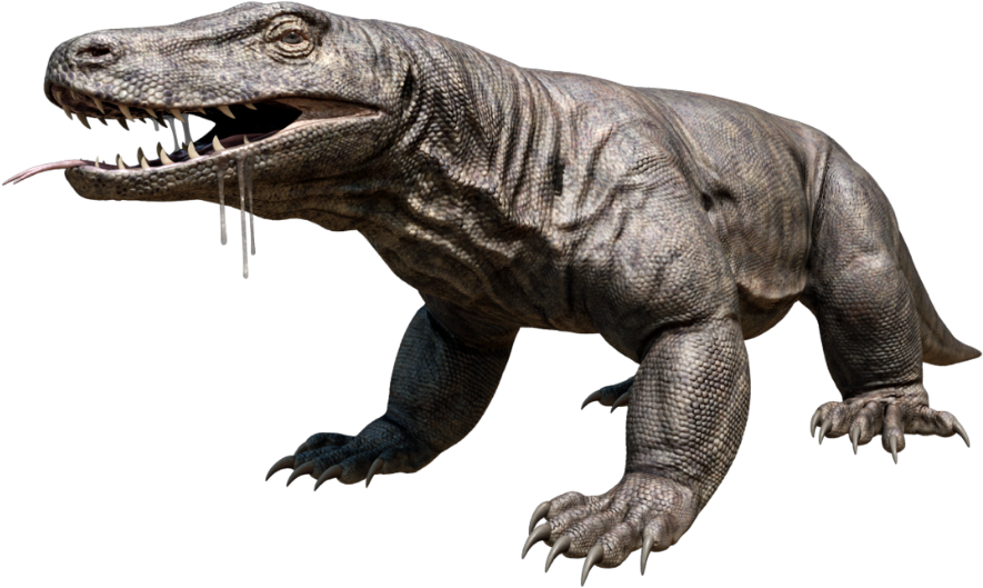 Komodo Dragon Png Hd - Komodo Png (799x450), Png Download